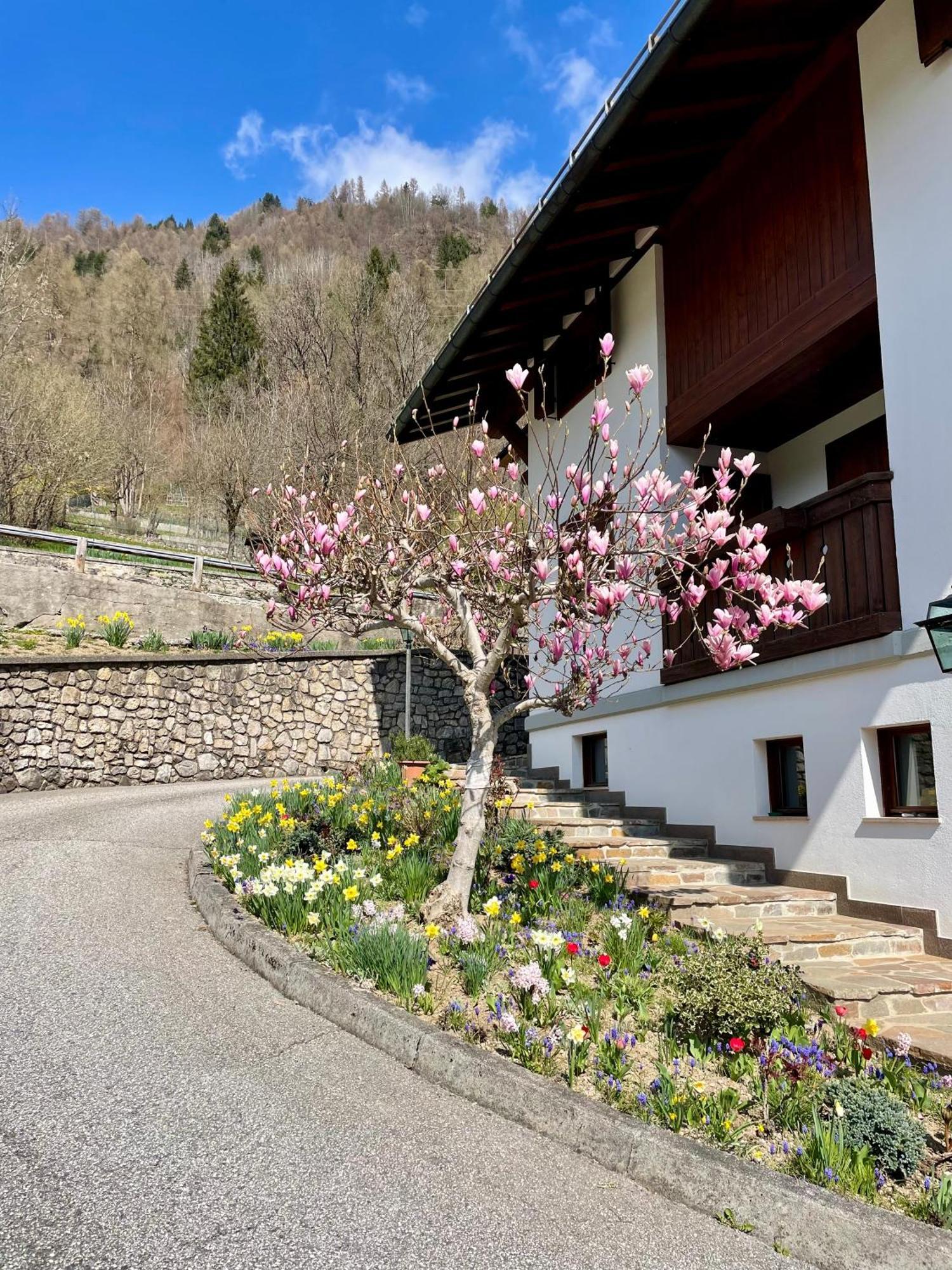 فندق Ca Borghetto Venas المظهر الخارجي الصورة