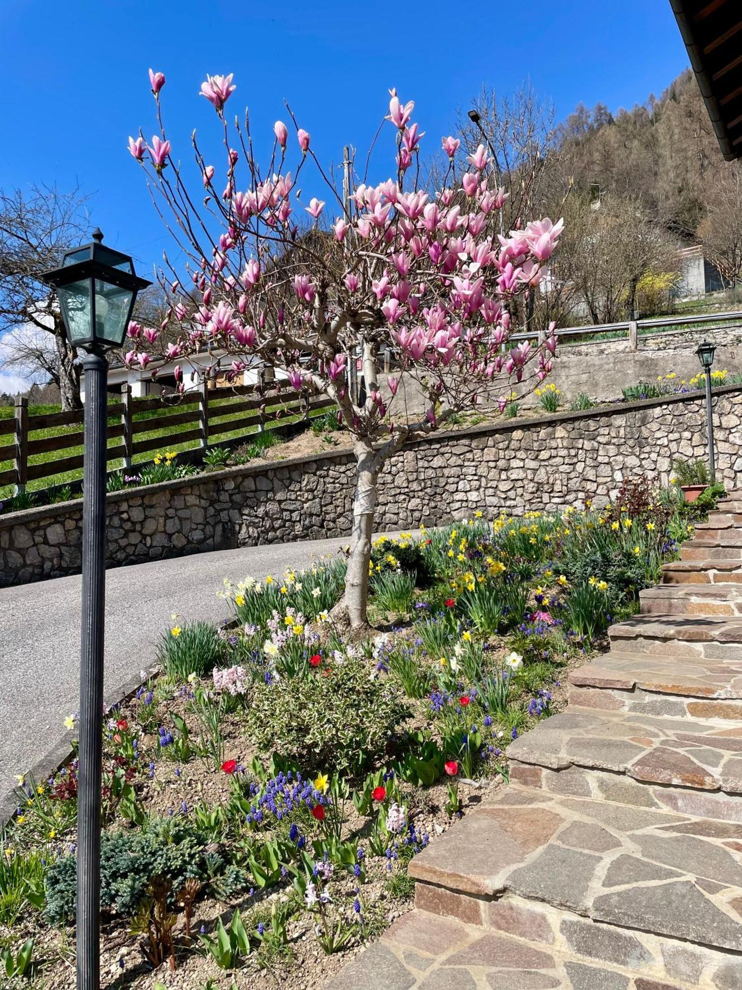 فندق Ca Borghetto Venas المظهر الخارجي الصورة